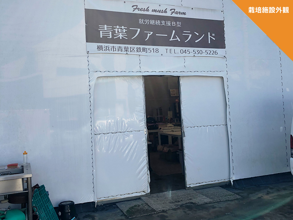 栽培施設外観